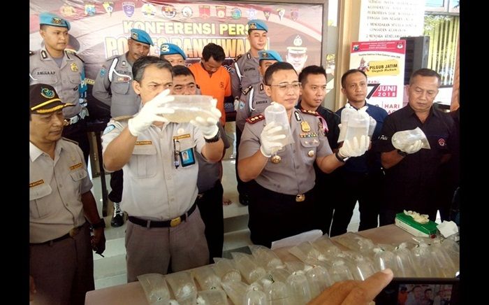Polres Banyuwangi Ungkap Penyelundupan Baby Lobster Antar Pulau Polres Banyuwangi Ungkap Penyelundupan Baby Lobster Antar Pulau