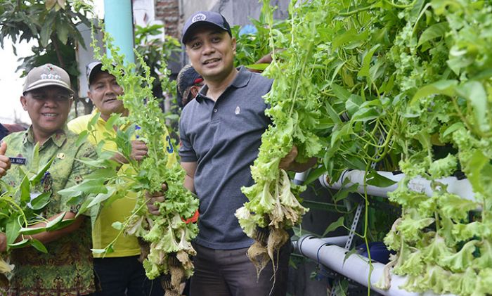 Simorejo, Kampung Hidroponik Pertama di Surabaya Simorejo, Kampung Hidroponik Pertama di Surabaya