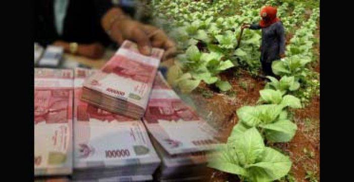 Disperindagkop Lamongan Gunakan Rp 750 juta Dana DBHCHT Untuk Pembinaan IKM Disperindagkop Lamongan Gunakan Rp 750 juta Dana DBHCHT Untuk Pembinaan IKM