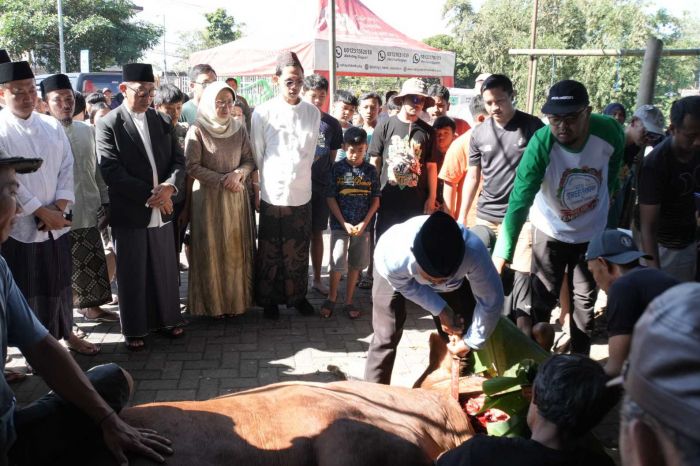 Wali Kota Batu dan Ketua TP PKK Saksikan Penyembelihan Hewan Kurban 1446 H di Masjid Nurul Huda Wali Kota Batu dan Ketua TP PKK Saksikan Penyembelihan Hewan Kurban 1446 H di Masjid Nurul Huda