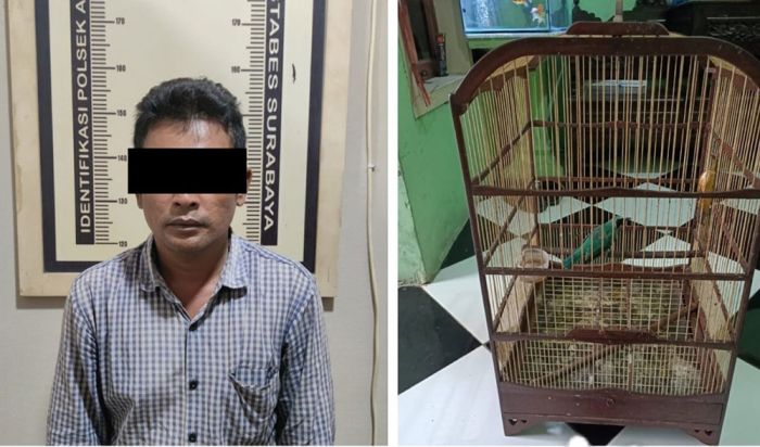 Ini Baru Namanya Maling, Gasak Burung Milik Purnawirawan Polri Ini Baru Namanya Maling, Gasak Burung Milik Purnawirawan Polri