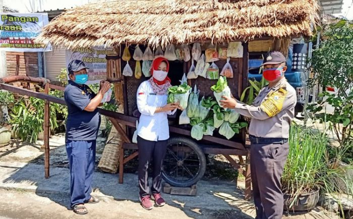 Bantu Sesama yang Terdampak Covid-19, Warga Songgokerto Bentuk Lumbung Pangan Kemitraan