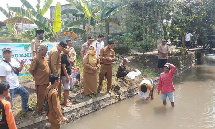 Jaga Ekosistem Air, Dinas Perikanan Pasuruan Tebar 35 Ribu Benih Ikan di Perairan Umum