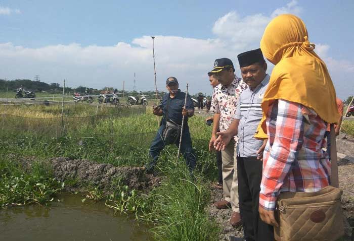 Hanya Sekali Panen Tiap Tahun, 3 Hektar Sawah Disulap Jadi Mina Padi Hanya Sekali Panen Tiap Tahun, 3 Hektar Sawah Disulap Jadi Mina Padi