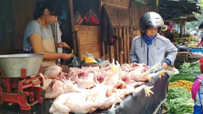 Jelang Ramadan, Harga Daging Ayam Potong di Blitar Meroket Jelang Ramadan, Harga Daging Ayam Potong di Blitar Meroket