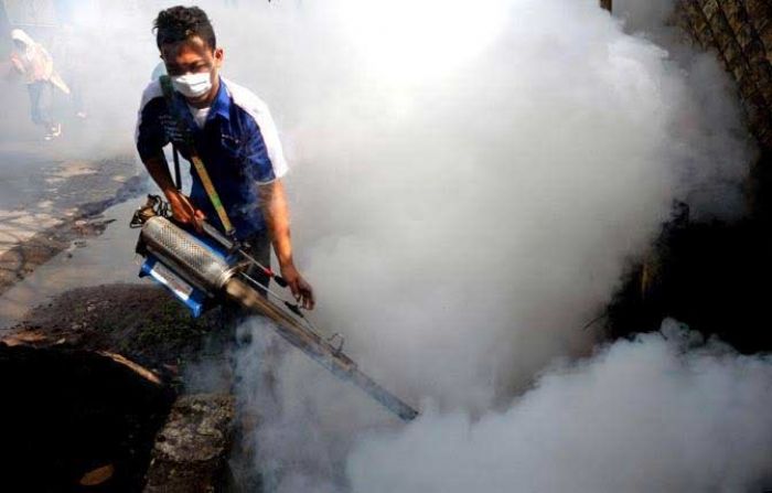 2 Pasien DBD di Lamongan Meninggal Dunia, 52 Orang Menjalani Perawatan di RS 2 Pasien DBD di Lamongan Meninggal Dunia, 52 Orang Menjalani Perawatan di RS