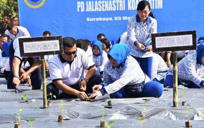 Dukung Ketahanan Pangan Nasional, Koarmatim Gelar Tanam Bersama Bibit Sayuran