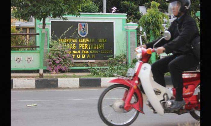 Jelang Mutasi Jabatan Pemkab Tuban, Ansor Berharap Bupati Tempatkan Orang yang Tepat di Disperta Jelang Mutasi Jabatan Pemkab Tuban, Ansor Berharap Bupati Tempatkan Orang yang Tepat di Disperta