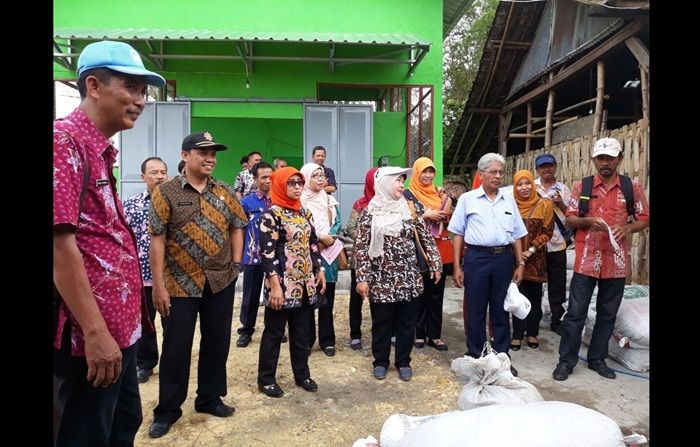 Dukung Pertanian Jagung Modern, Disnakwan Lamongan Siapkan Pupuk Organik Dukung Pertanian Jagung Modern, Disnakwan Lamongan Siapkan Pupuk Organik