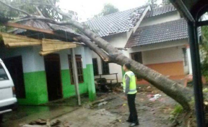 Puting Beliung Terjang Tiga Desa di Blitar, Puluhan Rumah Rusak Puting Beliung Terjang Tiga Desa di Blitar, Puluhan Rumah Rusak