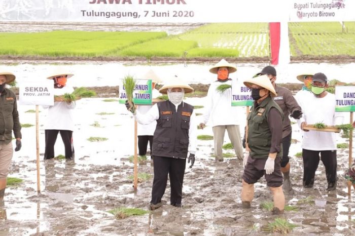 Regenerasi Petani Tak Bisa Ditawar, Gubernur Khofifah Ajak Para Milenial Geluti Sektor Pertanian Regenerasi Petani Tak Bisa Ditawar, Gubernur Khofifah Ajak Para Milenial Geluti Sektor Pertanian
