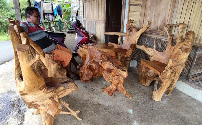 Pekerjaan Nyopir Lagi Sepi, Muntoko Sulap Akar Jati Jadi Meja Kursi Berharga Tinggi Pekerjaan Nyopir Lagi Sepi, Muntoko Sulap Akar Jati Jadi Meja Kursi Berharga Tinggi