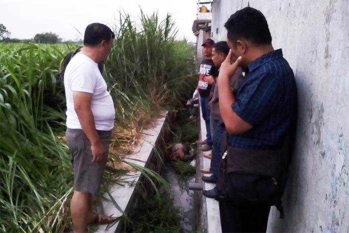 Kerabat Wawali Blitar Ditemukan Tewas di Parit Perumahan Kerabat Wawali Blitar Ditemukan Tewas di Parit Perumahan