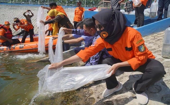 Wali Kota Madiun Tebar 136.000 Benih Ikan Lokal di Embung Pilangbango Wali Kota Madiun Tebar 136.000 Benih Ikan Lokal di Embung Pilangbango