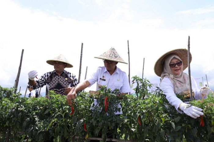 Pemkot Batu Apresiasi Program PT PELNI: Pemberdayaan Petani di Desa Pandanrejo Pemkot Batu Apresiasi Program PT PELNI: Pemberdayaan Petani di Desa Pandanrejo