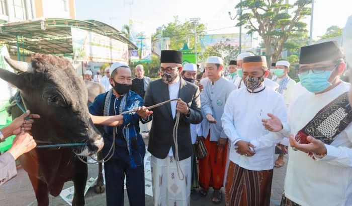 Bupati dan Wakil Bupati Pamekasan Salat Id dan Serahkan Sapi Kurban ke Masjid Agung Asy Shuhada Bupati dan Wakil Bupati Pamekasan Salat Id dan Serahkan Sapi Kurban ke Masjid Agung Asy Shuhada