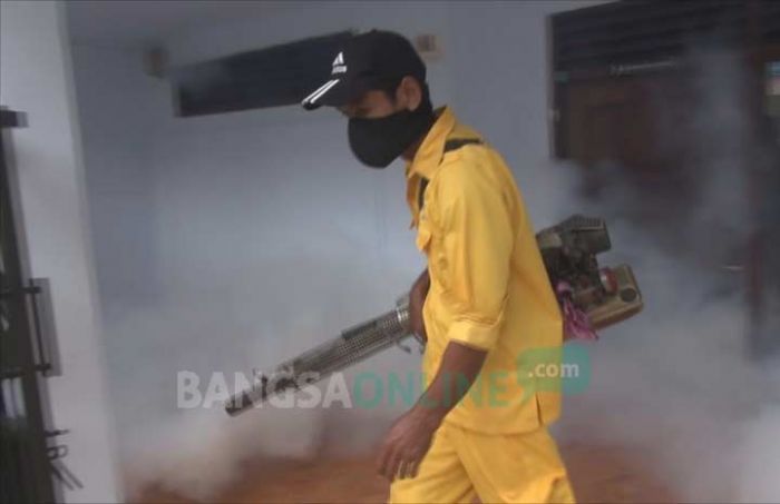 Bocah 5 Tahun di Jombang Meninggal karena Demam Berdarah Bocah 5 Tahun di Jombang Meninggal karena Demam Berdarah