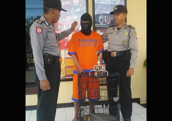 Curi Burung Tetangga, Warga Desa Medalem Dipenjara Curi Burung Tetangga, Warga Desa Medalem Dipenjara