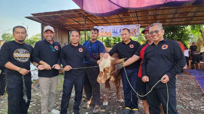 Kurban 8 Sapi dan 4 Kambing, BPBD Jatim Bagikan 1.000 Paket Daging ke Warga Sekitar