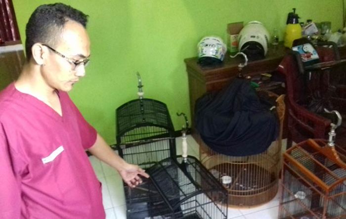 Rumah Anak Mantan Ketua PPP Kota Probolinggo Dibobol Maling, Empat Burung Hilang Rumah Anak Mantan Ketua PPP Kota Probolinggo Dibobol Maling, Empat Burung Hilang