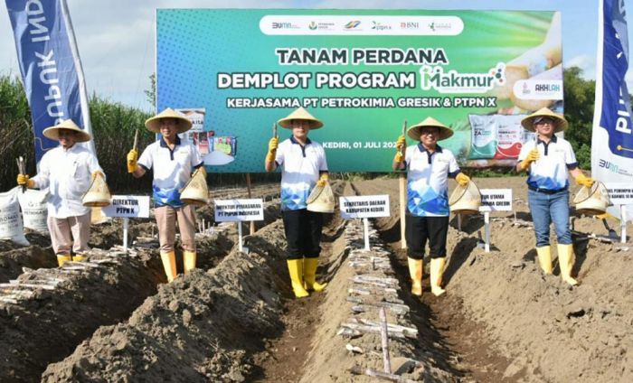 Petrokimia Gresik dan PTPN X Sukses Tingkatkan Produktivitas dan Pendapatan Petani Tebu di Kediri