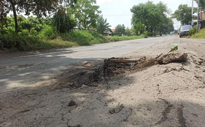 Rusak dan Banyak Lubang, Waspada Saat Melintasi Ruas-ruas Jalan di Sidoarjo ini