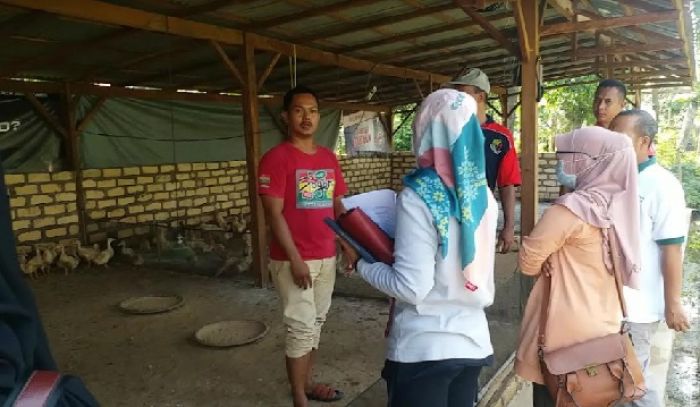 ​Kandang Bebek di Tengah Pemukiman, Ini Respons Dinas Peternakan Bangkalan
