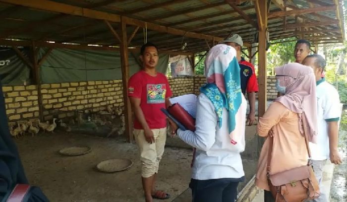 Kandang Bebek di Tengah Pemukiman, Ini Respons Dinas Peternakan Bangkalan Kandang Bebek di Tengah Pemukiman, Ini Respons Dinas Peternakan Bangkalan