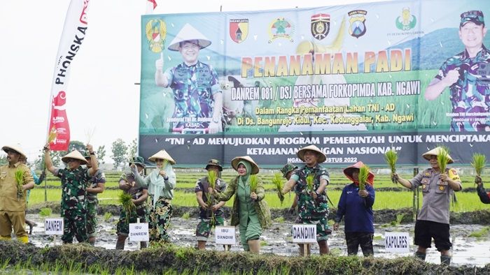 Wujudkan Ketahanan Pangan, Danrem 081/DSJ dan Forkopimda Ngawi Kompak Terjun ke Sawah Tanam Padi