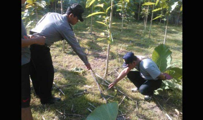 Pindahkan Kabel di Tengah Jalan, Petani di Bojonegoro Tewas Tersengat Listrik Pindahkan Kabel di Tengah Jalan, Petani di Bojonegoro Tewas Tersengat Listrik
