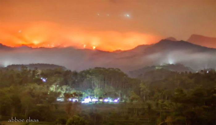 Karhutla di Lereng Gunung Hyang Argopuro, BPBD Jember Kirim 2 Tim ke Lokasi dan Dirikan Pos Pantau