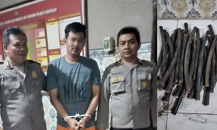 Maling Kabel Feeder PT. Mayora Ditangkap saat Hendak Jual Hasil Curian