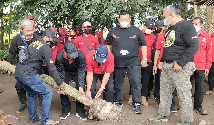 Gandeng Relawan, PDIP Kabupaten Kediri Gelar Aksi Tanam Pohon Gandeng Relawan, PDIP Kabupaten Kediri Gelar Aksi Tanam Pohon