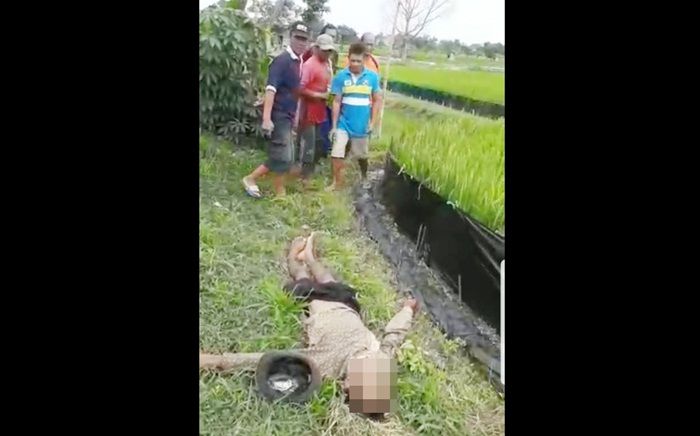 Petani Dukun Gresik Tewas Tersengat Listrik Jebakan Tikus Petani Dukun Gresik Tewas Tersengat Listrik Jebakan Tikus