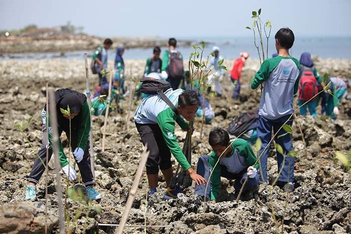 Bersama Pelajar di Tuban, EMCL Tanam 2.300 Pohon di Pantai