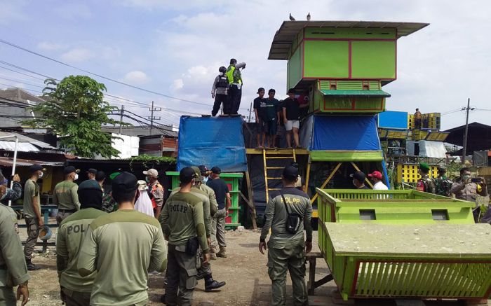 Arena Judi Merpati Terbesar di Surabaya Akhirnya Luluh Lantak, Pagupon-Pagupon Dirobohkan 