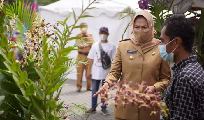 Ribuan Anggrek Hiasi Batu Shining Orchid Week 2021 Ribuan Anggrek Hiasi Batu Shining Orchid Week 2021