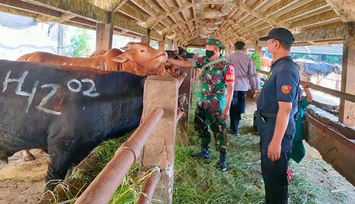 Antisipasi PMK, Babinsa Sidotopo Awasi RPH Pegirian Surabaya Antisipasi PMK, Babinsa Sidotopo Awasi RPH Pegirian Surabaya