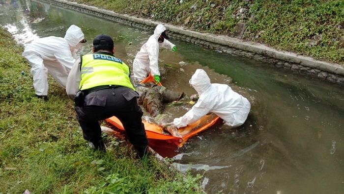 Derita Epilepsi, Mayat Pemuda di Tuban Ditemukan Membusuk di Saluran Irigasi