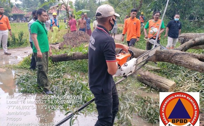 Hujan Disertai Angin Kencang di Proppo Pamekasan Robohkan Sejumlah Pohon Hujan Disertai Angin Kencang di Proppo Pamekasan Robohkan Sejumlah Pohon