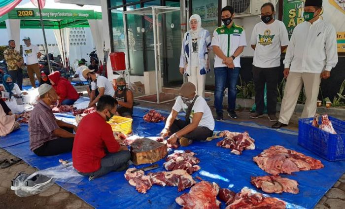Idul Adha, BHS Bagikan 24 Hewan Kurban ke Enam Kecamatan di Sidoarjo Idul Adha, BHS Bagikan 24 Hewan Kurban ke Enam Kecamatan di Sidoarjo