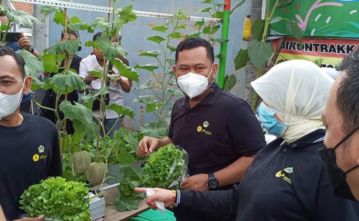 Manfaatkan Lahan Sempit Bertanam Hidroponik, Bupati Gus Yani Apresiasi Kampung Kreasi Sidokumpul Manfaatkan Lahan Sempit Bertanam Hidroponik, Bupati Gus Yani Apresiasi Kampung Kreasi Sidokumpul
