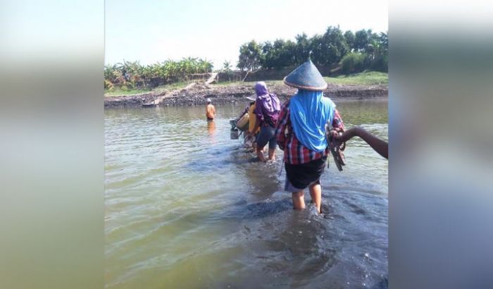 Sungai Bengawan Solo Mengering, Warga Baron Gresik Bisa Menyeberang dengan Jalan Kaki Sungai Bengawan Solo Mengering, Warga Baron Gresik Bisa Menyeberang dengan Jalan Kaki