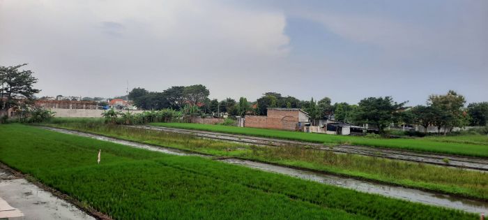 Pemkot Pasuruan Bebaskan Tarif PBB-P2 Sektor Pertanian, Wujud Dukungan Nyata untuk Petani