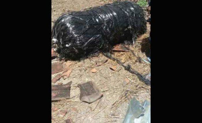 Kemenhub: Kabar Pesawat Jatuh Hanyalah Hoax Kemenhub: Kabar Pesawat Jatuh Hanyalah Hoax