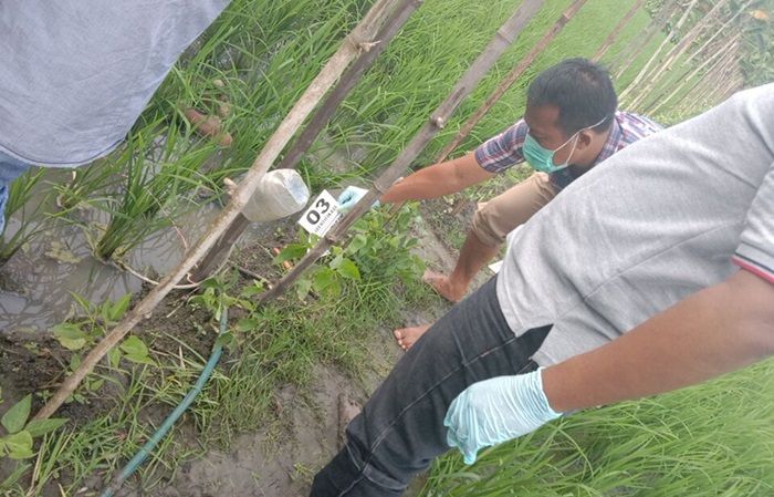 Kembali Makan Korban, 4 Nyawa Melayang Akibat Jebakan Tikus Listrik di Ngawi Desember Ini Kembali Makan Korban, 4 Nyawa Melayang Akibat Jebakan Tikus Listrik di Ngawi Desember Ini