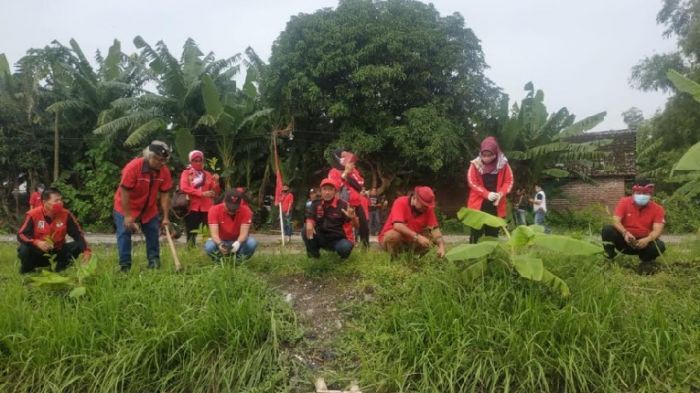 Peringati HUT Ke-48, PDIP Sidoarjo Tanam 4.874 Pohon di Sejumlah Bantaran Sungai