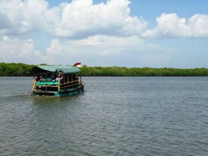 Hutan Mangrove Bedul, Destinasi Pariwisata yang ‘Hancur’ karena Tarif Hutan Mangrove Bedul, Destinasi Pariwisata yang ‘Hancur’ karena Tarif
