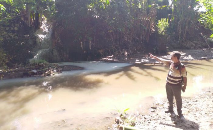 Cemari Sungai, Pabrik Pengolahan Karet PTPN XII Kebun Glantangan Jember Terancam Ditutup Cemari Sungai, Pabrik Pengolahan Karet PTPN XII Kebun Glantangan Jember Terancam Ditutup