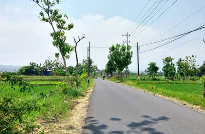 Pemkab Situbondo Perbaiki Ruas Jalan Widoro Payung-Sumbermalang, Warga Senang